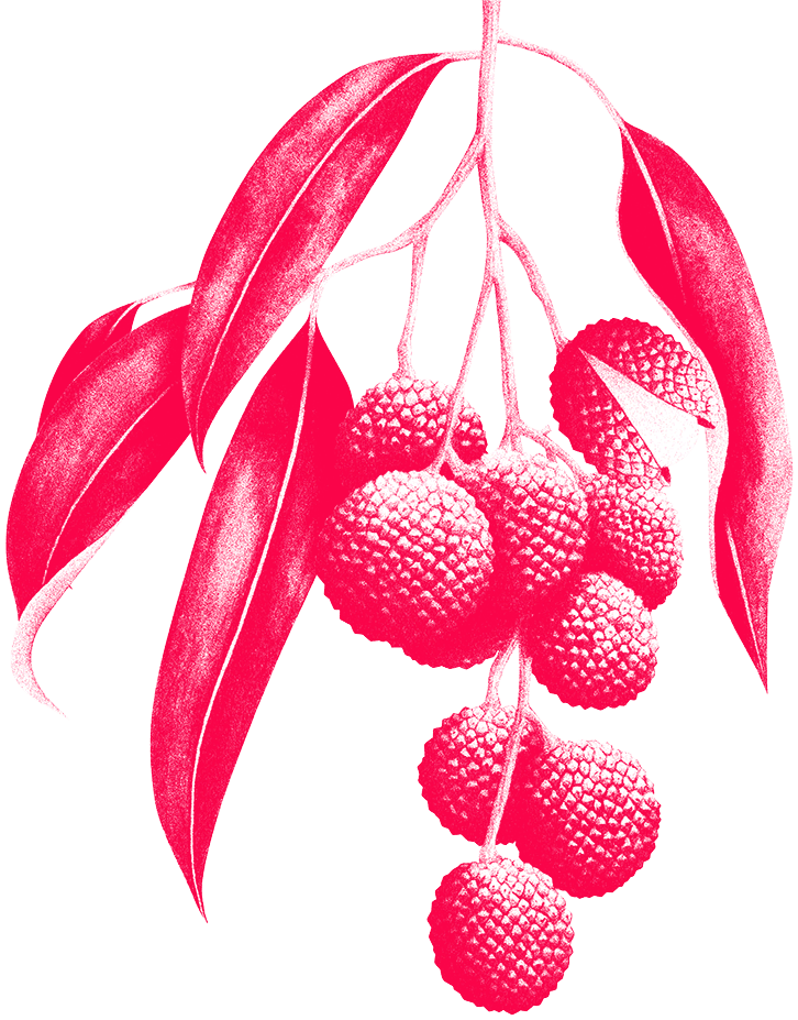Lychee